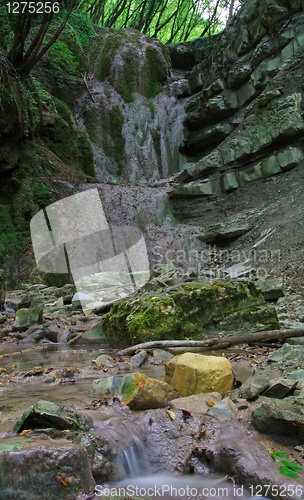 Image of Waterfall in forest