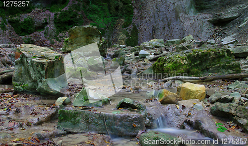 Image of Rocks in stream