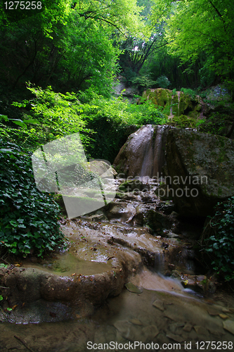 Image of Waterfall in the green