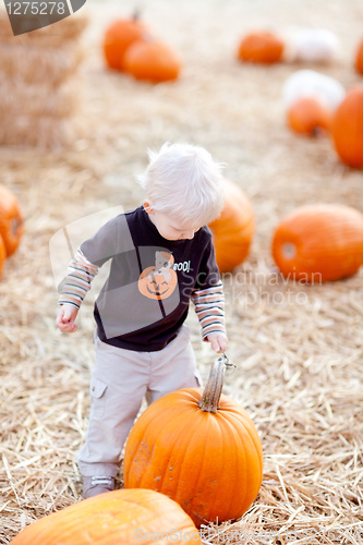 Image of toddler and pumpkin
