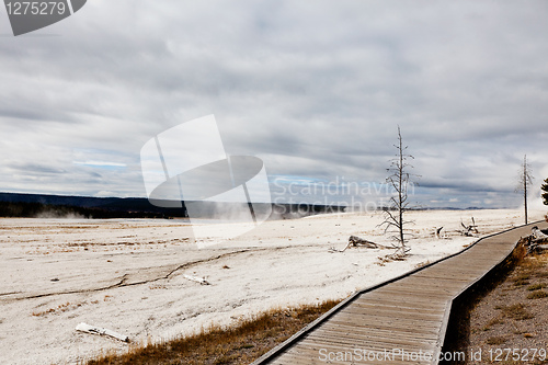 Image of boardwalk in yellowstone