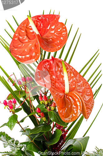 Image of Beautiful red anturio flowers