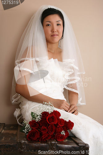 Image of Beautiful Bride