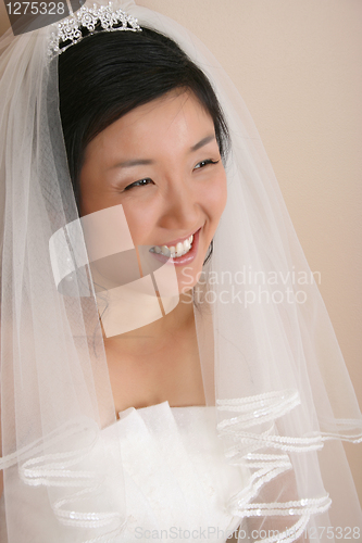 Image of Beautiful bride