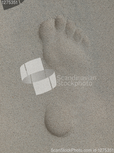 Image of Footprint