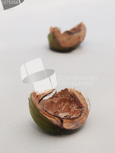 Image of Coconut shells