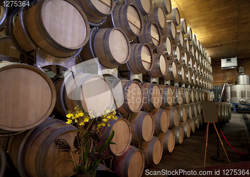 Image of Barrels of Wine