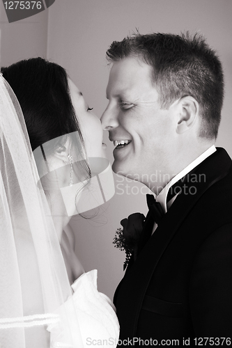 Image of Bridal Couple