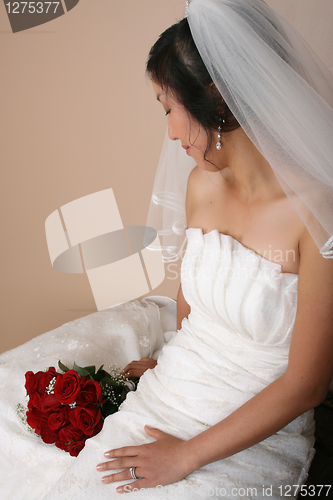 Image of Beautiful bride