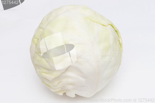 Image of Cabbage