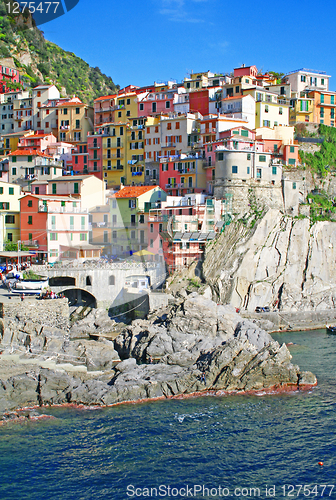 Image of Italy. Cinque Terre. Manarola 