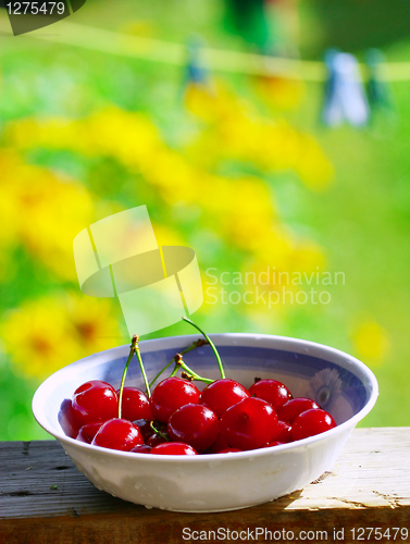 Image of Sweet cherries