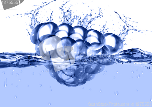 Image of Blackberry in water