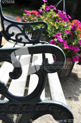 Image of Bench and Flowers