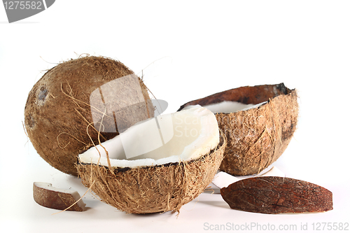 Image of Coconut