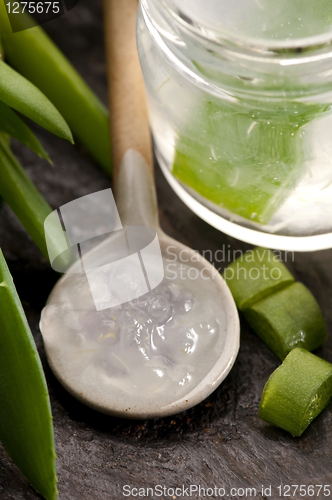 Image of aloe vera juice with fresh leaves