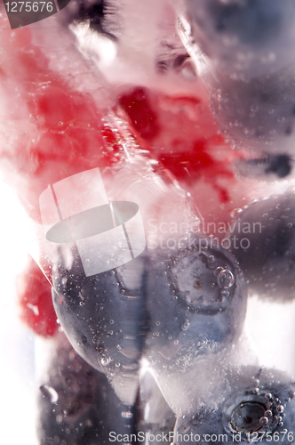 Image of Raspberry and blackberry frozen in ice sticks