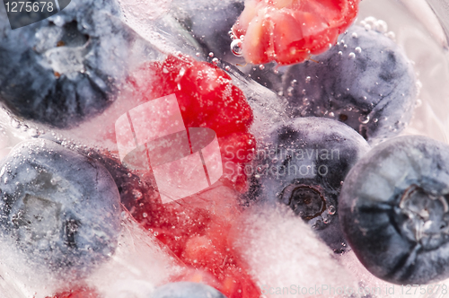 Image of Raspberry and blackberry frozen in ice sticks