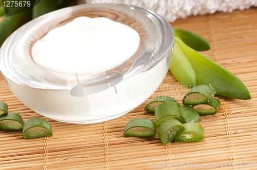 Image of aloe vera - leaves and face cream