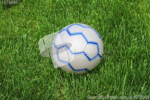 Image of Soccer Ball on the Green Grass