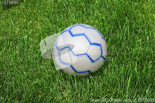 Image of Soccer Ball on the Green Grass