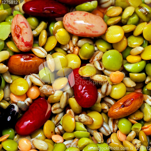 Image of Legume