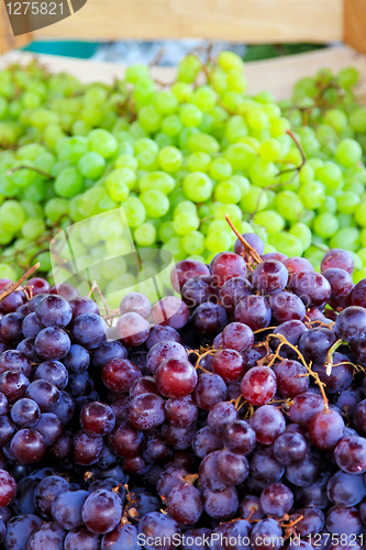 Image of Grapes