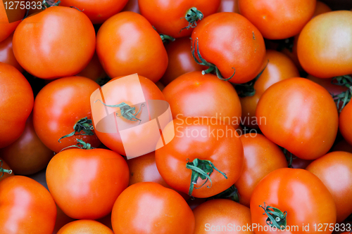 Image of Tomatoes