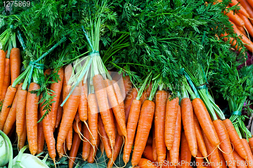 Image of Carrots