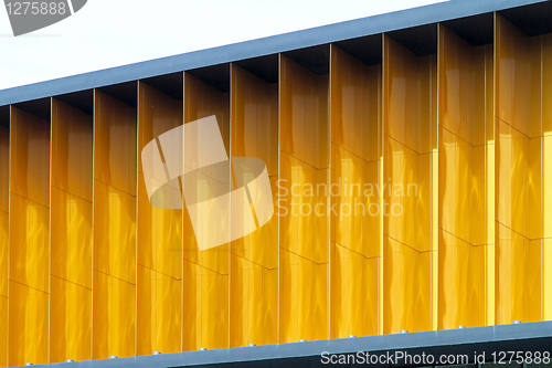 Image of Golden windows