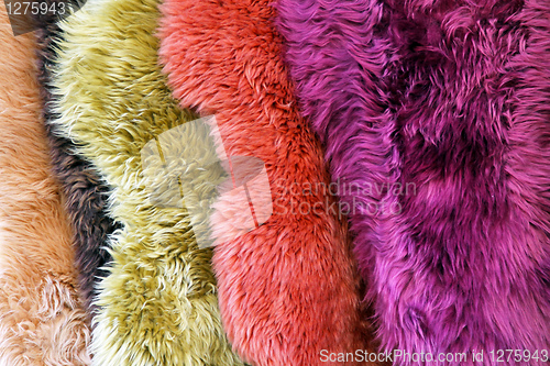 Image of Color fur