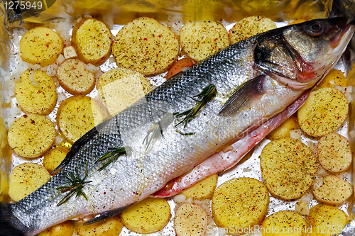 Image of Bass fish