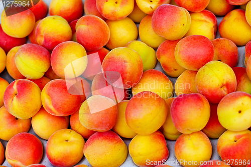 Image of Apricots
