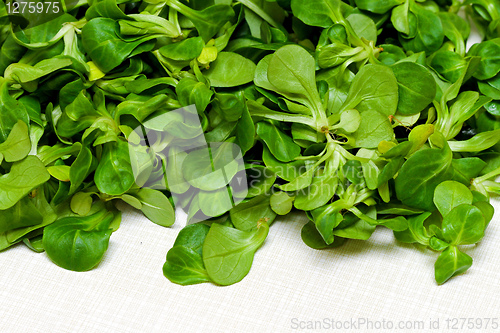 Image of Lamb tongue salad