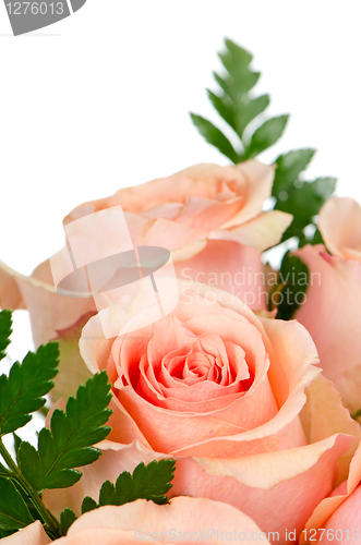 Image of Pink roses