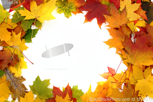 Image of autumn background