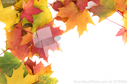 Image of autumn background