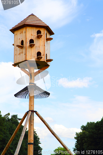 Image of birds home