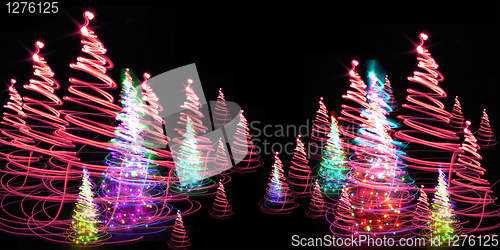 Image of christmas forest