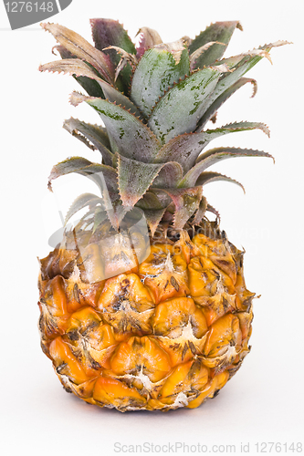 Image of Pineapple