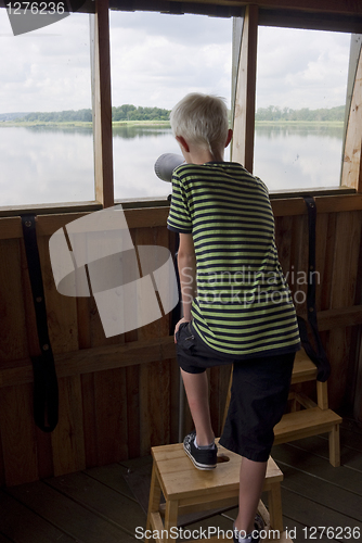 Image of Boy watching birds