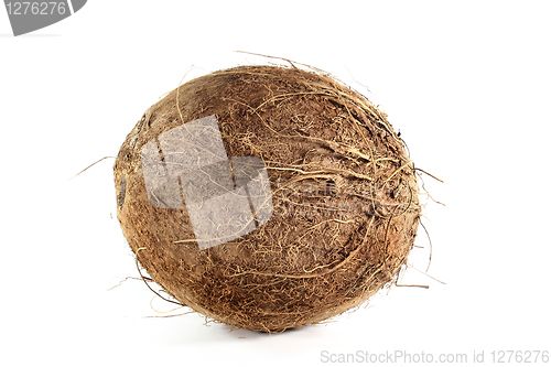 Image of Coconut