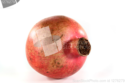 Image of Pomegranate