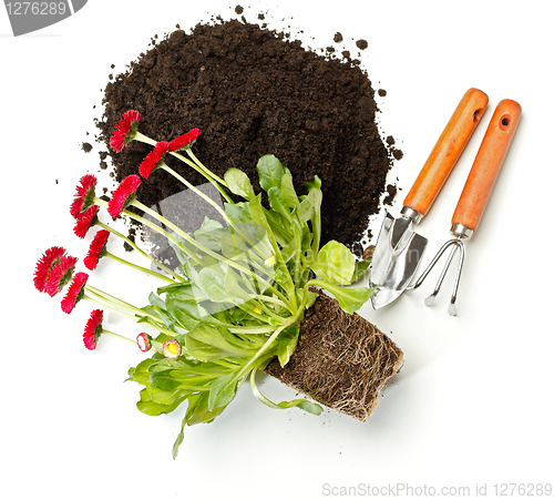 Image of Flower potting, dirt and gardening tools