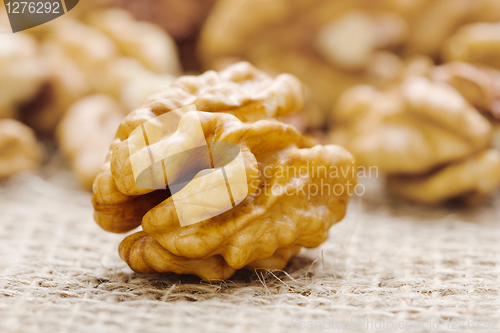 Image of Macro of nutmeat