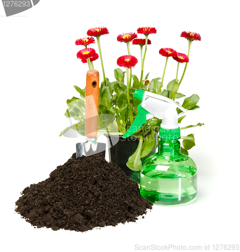 Image of Flower planting tools and dirt