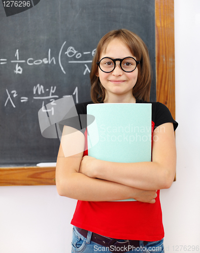 Image of Wise math schoolgirl