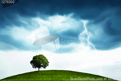 Image of Storm and tree