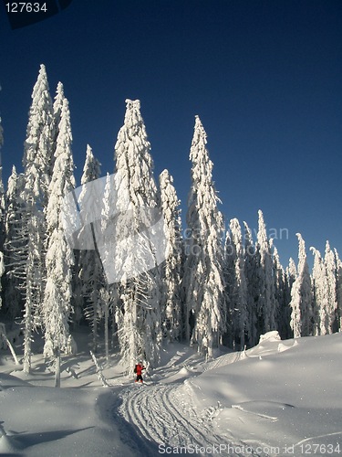 Image of Skiing