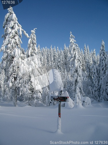 Image of Wintersign